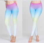 Fitness Yoga Leggings