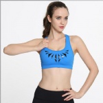 Blue Sports Bra