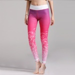 Workout Gym Yoga Wear